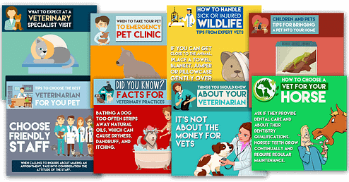 social-media-sample-images-collage-for-veterinarians-marketing
